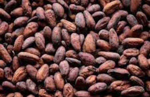 Ituri : Un militaire FARDC intercepté avec plus de 200Kg de Cacao à Biakato