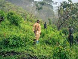 Irumu : la présence des inconnus armés à Mukasila créé psychose chez les habitants