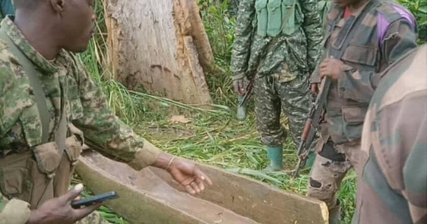 Opérations conjointes FARDC-UPDF : lourdes pertes infligées aux ADF à Beni et à Mambasa